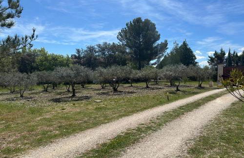Gîte Lavande Luberon - Foto 10