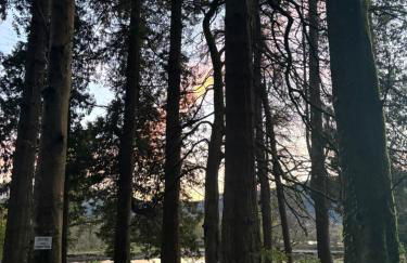 North Lodge Kilmun - Foto 69