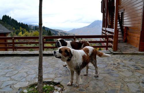 Xilino Horio - Foto 15