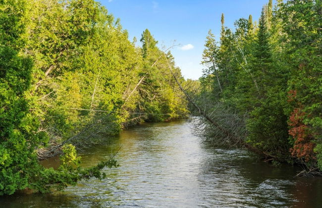 Firefly Lodge! Boardman River! Hot Tub! Woodstove! - Foto 46