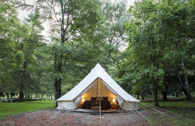 The Camp - Lake Hawea - Foto 43