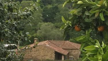 Casa Torres - Foto 5