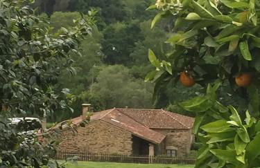 Casa Torres - Foto 5