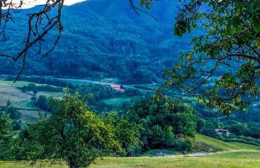 Il Borrino - Foto 26