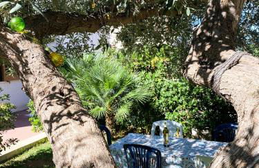 Sole di Sicilia - Foto 16