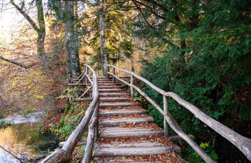 Apartment Goran - Foto 4