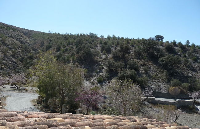 CASAS RURALES CORTIJO LEONTINO - Photo 51