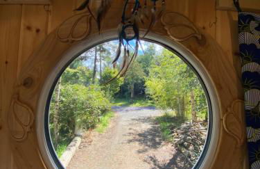 Sapphire forest garden shepherd’s hut - Foto 14