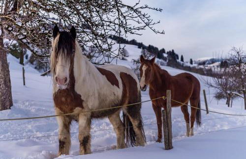 Schwarzwaldliebe - Foto 15