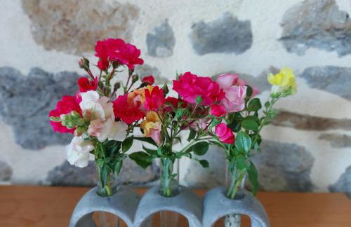 La Boutruchère - Photo 15