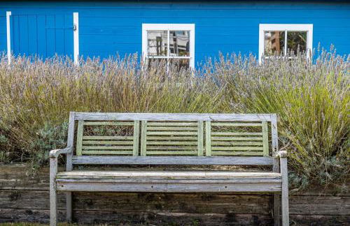 La dune des Amiets - Cléder - Foto 24