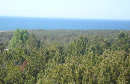 Domek letniskowy - Foto 31