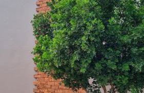 Chale para temporada - Bonito MS - Foto 33