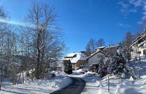Berghof Almzeit - Fewo "Philosophenstüble", Sauna, Todtnauberg, Feldberg - Foto 24