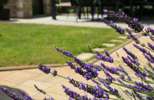 Apartmani Nena i Branko - Foto 26