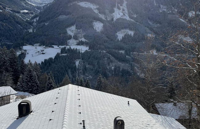 Apartment in Zillertal Near Ski Slopes - Foto 41