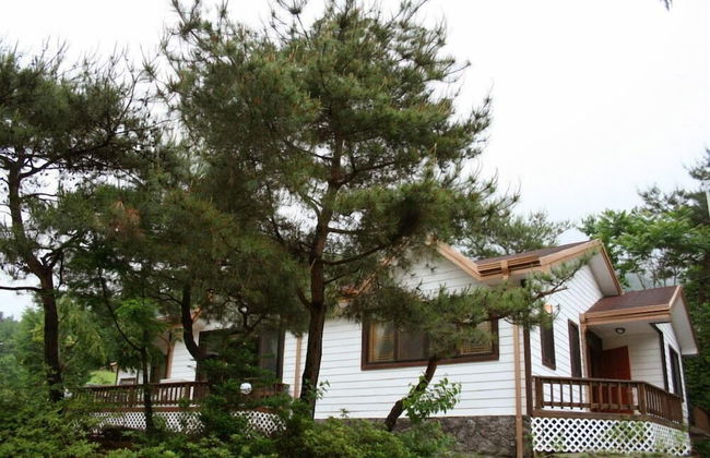 Asteria Pension - Foto 39