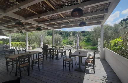 Bio Agriturismo Valle dei Calanchi - Foto 51