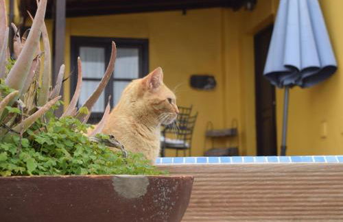 Holiday Home mit Schwimmbad nur für Erwachsene by Interhome - Foto 21