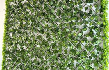 Pousada Vitória - Foto 8