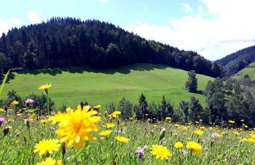 Ehrenmättlehof Faißt - Foto 16