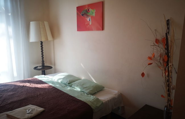 Orange Studio - Photo 40