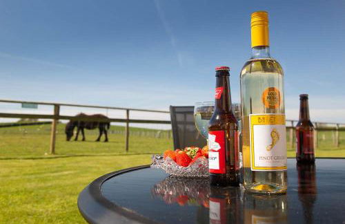 Carnedd Cottage - Foto 24