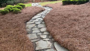 Walker Resort - Foto 2