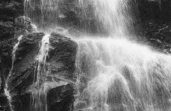 Haldenschwarzhof - Foto 15