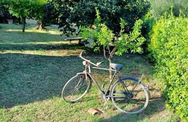 Colle Perazzoni - Foto 41