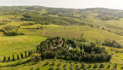 Podere Fignano, holiday home - apartments renovated 2024 - new swimming pool - Foto 4