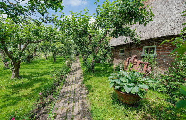 Farmhouse by Lauwers River With Rowing Boat - Foto 28
