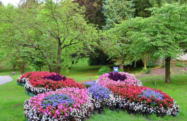 Elevated Apartment in Bad Wildungen With Garden - Foto 25