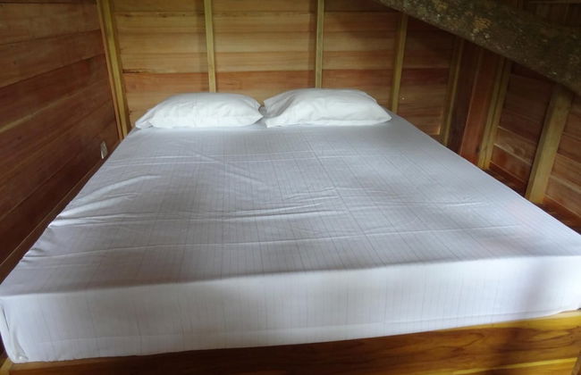 Wilpattu Tree House Hotel - Foto 16