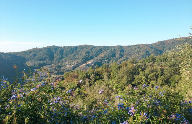 Azzurra (PTB145) - Foto 24