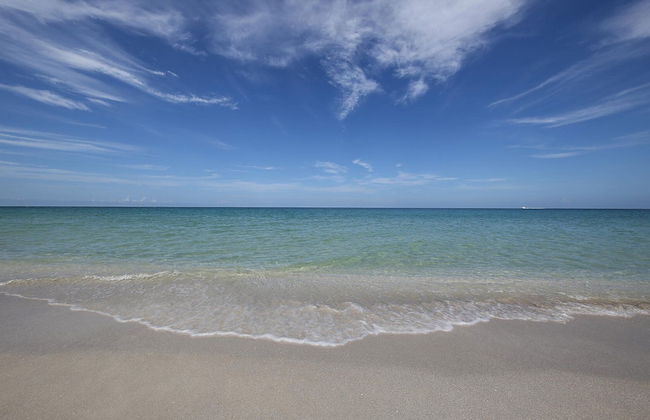 503 Laurel rd w - Foto 25