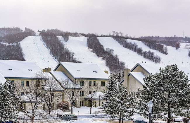 Blue Mountain - Photo 40