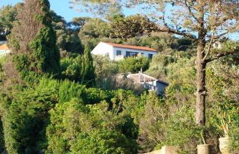 CAP AZUR ILE du LEVANT - Foto 10