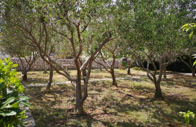 Apartments Tara - Foto 34