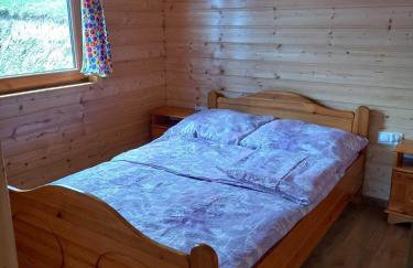 Domki na Górce w Bukowcu nad Soliną - Foto 3