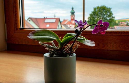 Eslarner Zoiglstum beim Strehern - Foto 18