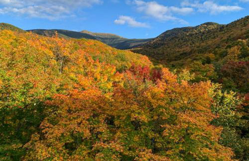 Rustic Escape - Foto 9