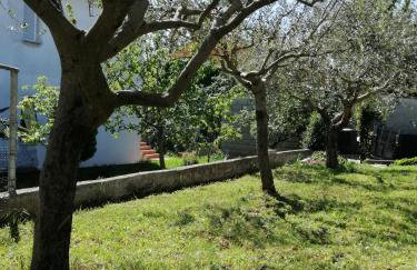 Apartman Suzy - Photo 20