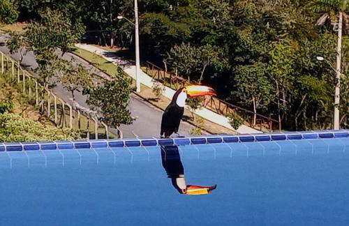 Casa do Sol - Casa Branca - Foto 24