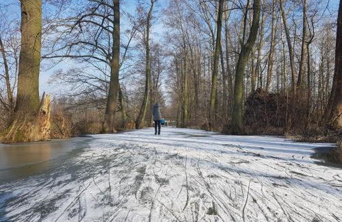 Spreewaldhaus zum Schoberplatz - Foto 23