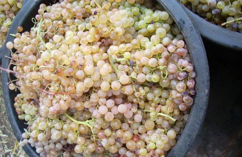 Agriturismo Le Roghete - Foto 39