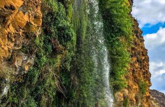 Rocha House - Foto 68