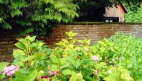 Gite spacieux et cosy à la campagne proche de Strasbourg - Foto 3