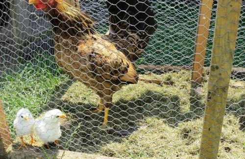 Apartamentos Rurales "La Escapada" - Foto 21