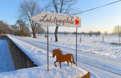 Ferienwohnung auf Pferdehof - Foto 53